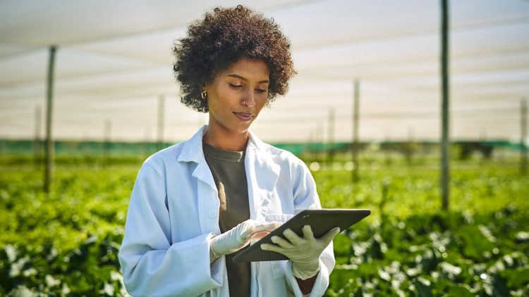 Getty Images - young scientist using a digital tablet while working with crops on a farm