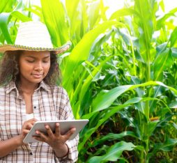 GettyImages - agriculture IoT and cybersecurity - Internet des objets dans l'agriculture et cybersécurité