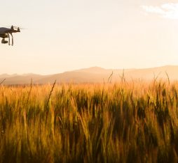 GettyImages - drone agriculture