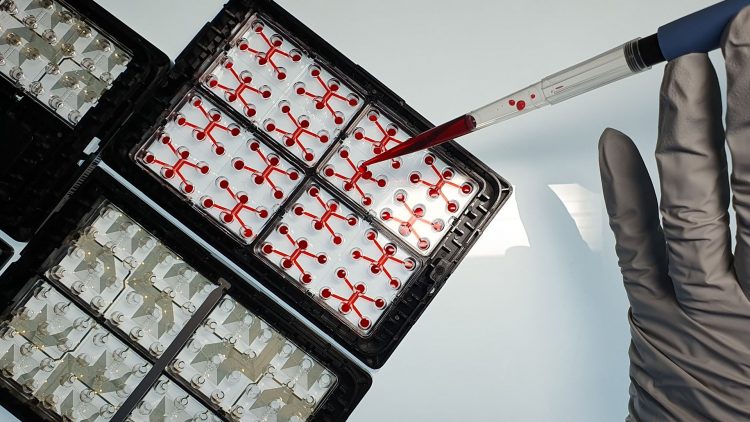 A gloved hand uses a pipette to add red liquid into culture plates in a laboratory setting.