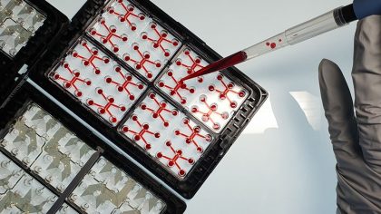 A gloved hand uses a pipette to add red liquid into culture plates in a laboratory setting.