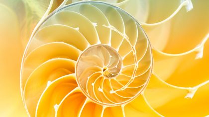 S’inspirer du génie de la nature pour innover