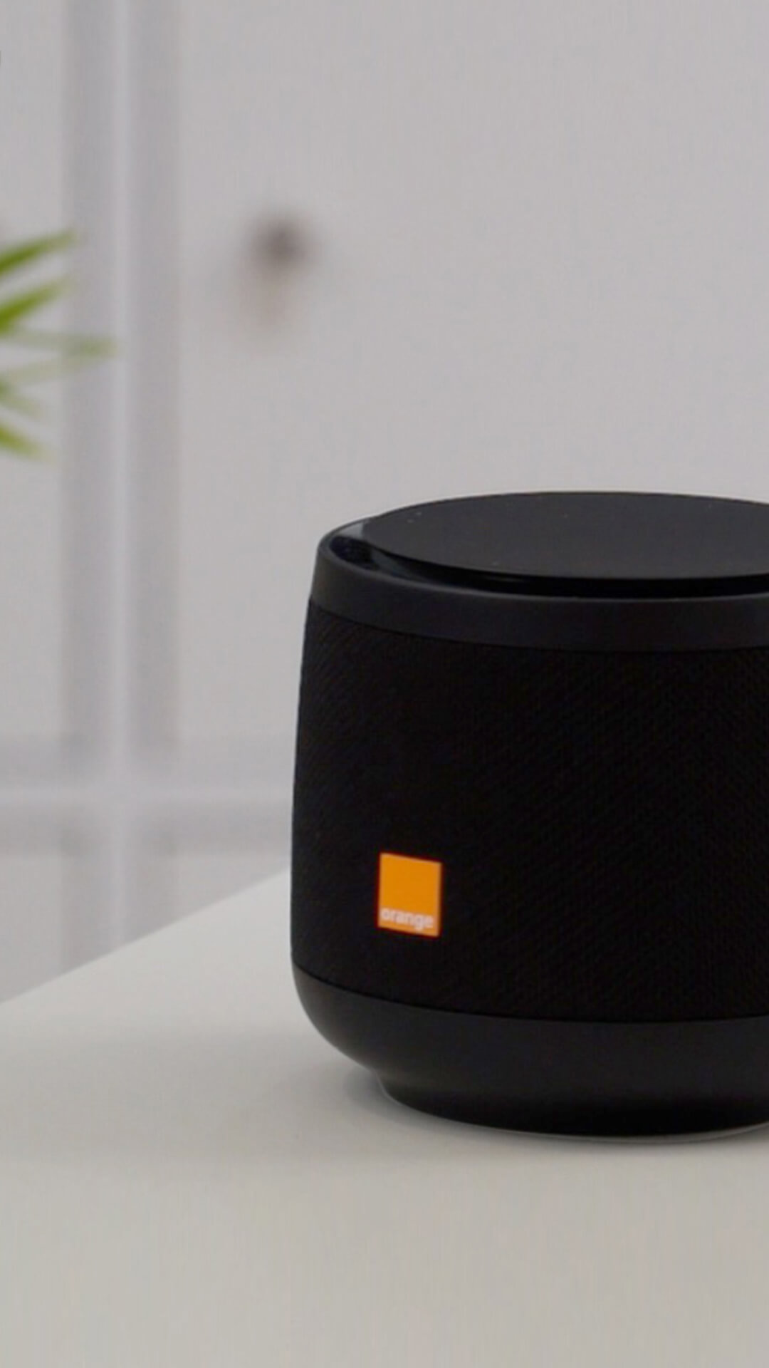Djingo Speaker