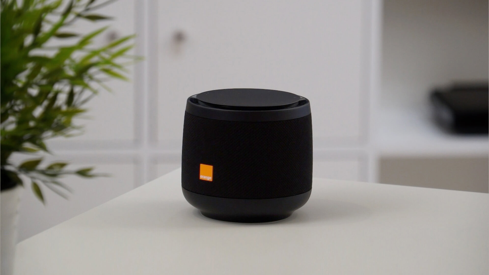 Djingo Speaker