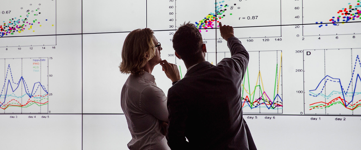 Des chercheurs analysent des données sur un tableau numérique.