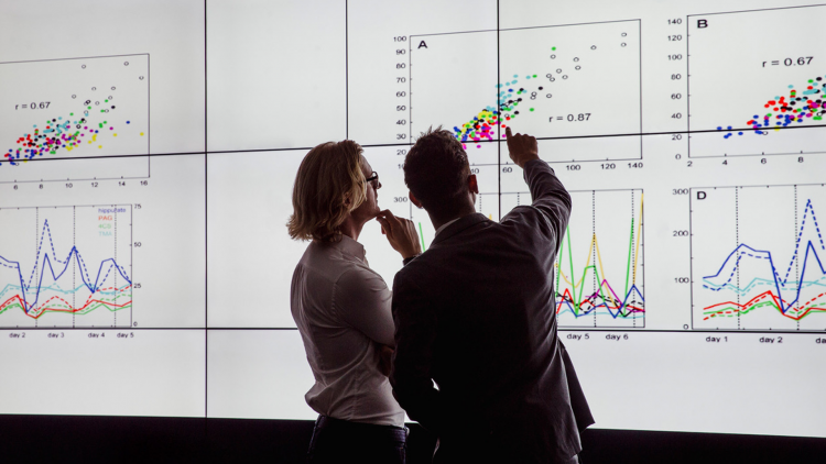 Des chercheurs analysent des données sur un tableau numérique.