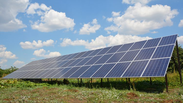 Panneaux solaires dans un pré