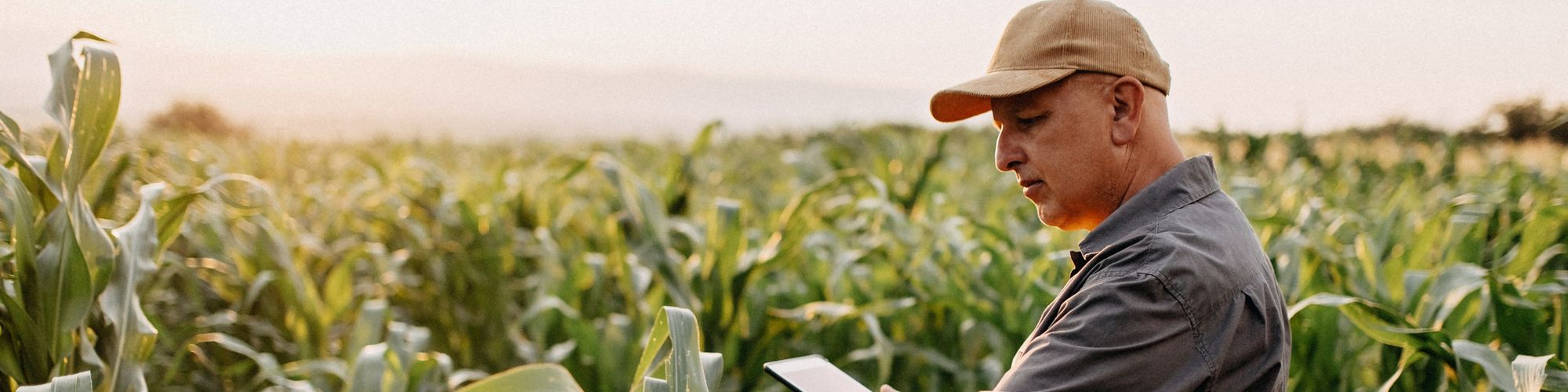 Getty Images - Agri Tech - Verdant Robotics