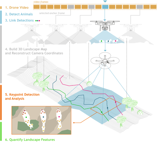 IA étude comportements animaliers - AI study animal behaviour