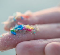 GettyImages - micro plastique - micro plastic