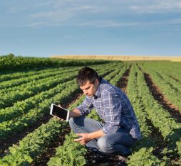 GettyImages - Warwick AgTech