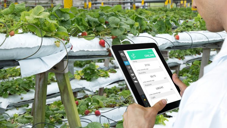 GettyImages-IoT-batteries-Onio