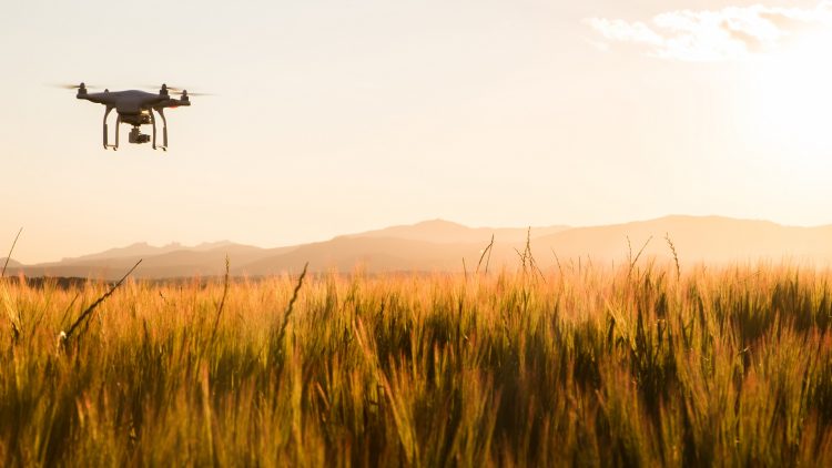GettyImages - drone agriculture