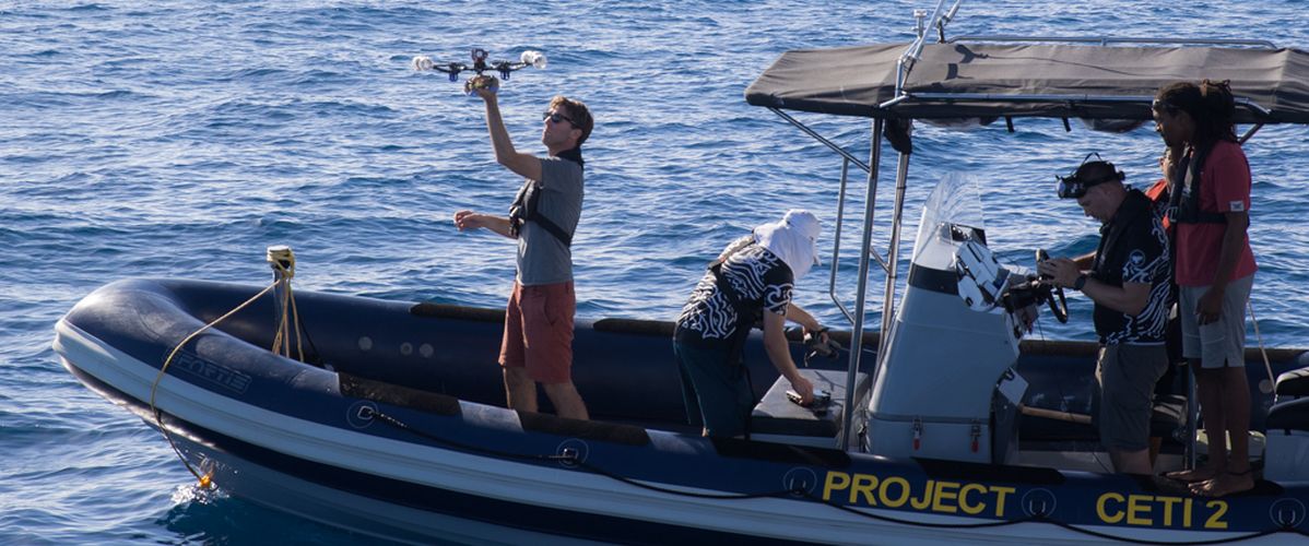 Rob Wood (Harvard / CETI), deploying a drone in Dominica 