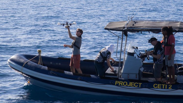 Rob Wood (Harvard / CETI), deploying a drone in Dominica
